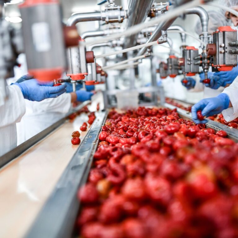 Defect Detection in Food Processing: Ensuring Quality and Safety with AI
